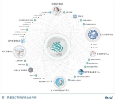 深耕醫療影像近十載，翼展醫療集團揚帆影像生態圈——從信息化服務到生態構建的進階之路